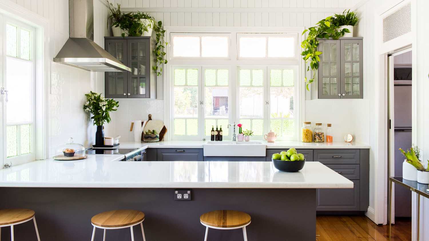 Latest Indoor Plants for a Modern Indian Kitchen